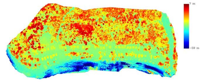 Elevation model (DSM): Old Mill Settlement